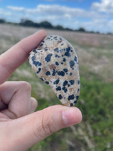 Load image into Gallery viewer, Dalmatian Jasper