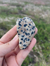 Load image into Gallery viewer, Dalmatian Jasper