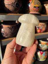 Load image into Gallery viewer, White Aragonite Mushroom