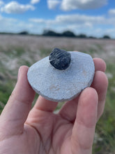 Load image into Gallery viewer, Trilobite Fossil