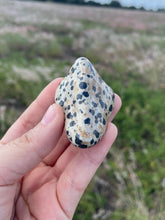 Load image into Gallery viewer, Dalmatian Jasper