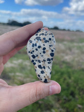 Load image into Gallery viewer, Dalmatian Jasper
