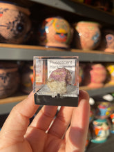 Load image into Gallery viewer, Fluorescent Hackmanite #1