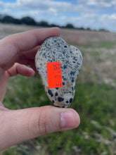 Load image into Gallery viewer, Dalmatian Jasper