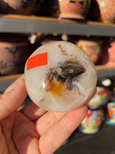 Load image into Gallery viewer, Agate Palm Stone with “Eye”