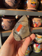 Load image into Gallery viewer, Black Septarian with Crystals