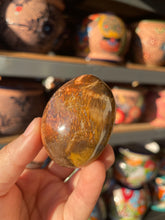 Load image into Gallery viewer, Polished Petrified Wood