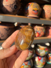 Load image into Gallery viewer, Polished Petrified Wood