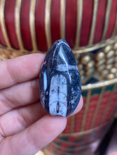 Load image into Gallery viewer, Orthoceras Fossil from Morocco