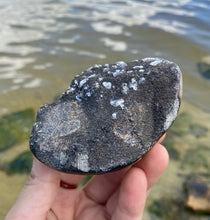 Load image into Gallery viewer, Septarian “Egg” with Calcite Crystals