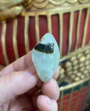 Load image into Gallery viewer, Polished Epidote with Prehnite