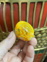 Load image into Gallery viewer, Bumblebee Jasper