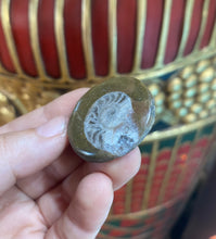 Load image into Gallery viewer, Ammonite Fossil from Morocco