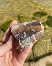 Load image into Gallery viewer, Petrified Wood