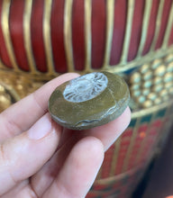 Load image into Gallery viewer, Ammonite Fossil from Morocco