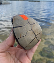 Load image into Gallery viewer, Septarian “Egg” with Calcite Crystals