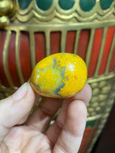 Load image into Gallery viewer, Bumblebee Jasper