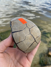 Load image into Gallery viewer, Septarian “Egg” with Calcite Crystals