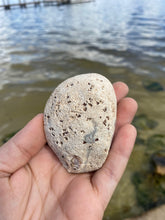 Load image into Gallery viewer, Agate