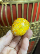 Load image into Gallery viewer, Bumblebee Jasper