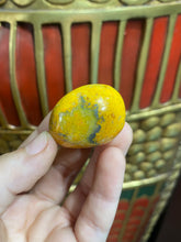 Load image into Gallery viewer, Bumblebee Jasper