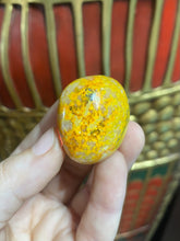 Load image into Gallery viewer, Bumblebee Jasper