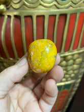 Load image into Gallery viewer, Bumblebee Jasper