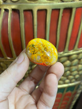 Load image into Gallery viewer, Bumblebee Jasper