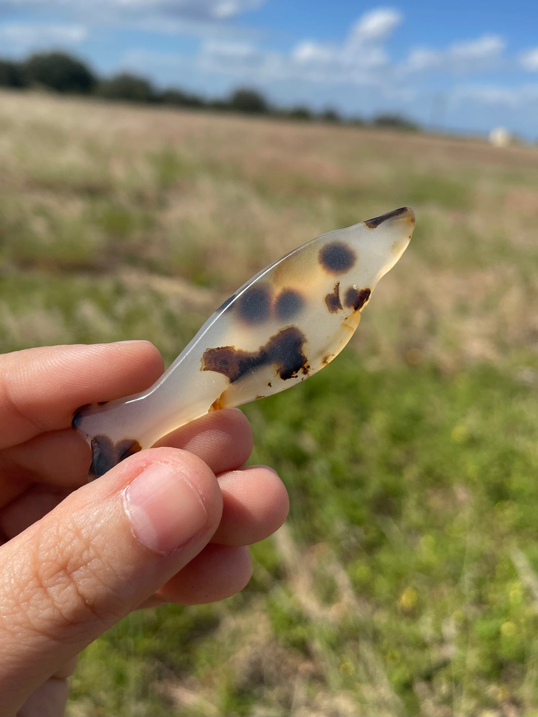 Montana Agate Fish