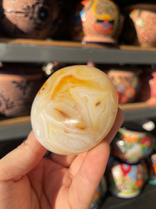 Agate Palm Stone with “Eye”
