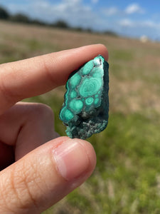 Small Malachite