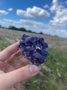 Amethyst Cluster