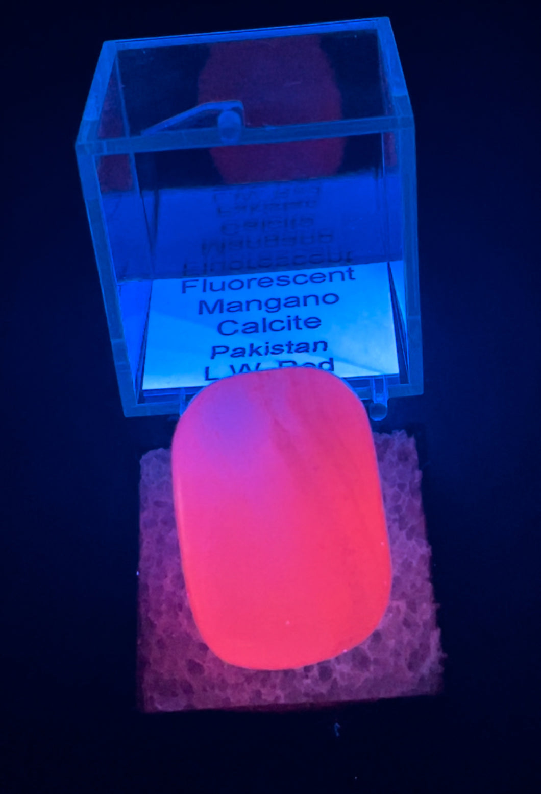 Fluorescent Pink Mangano Calcite #5