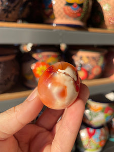 Carnelian X Orca Agate