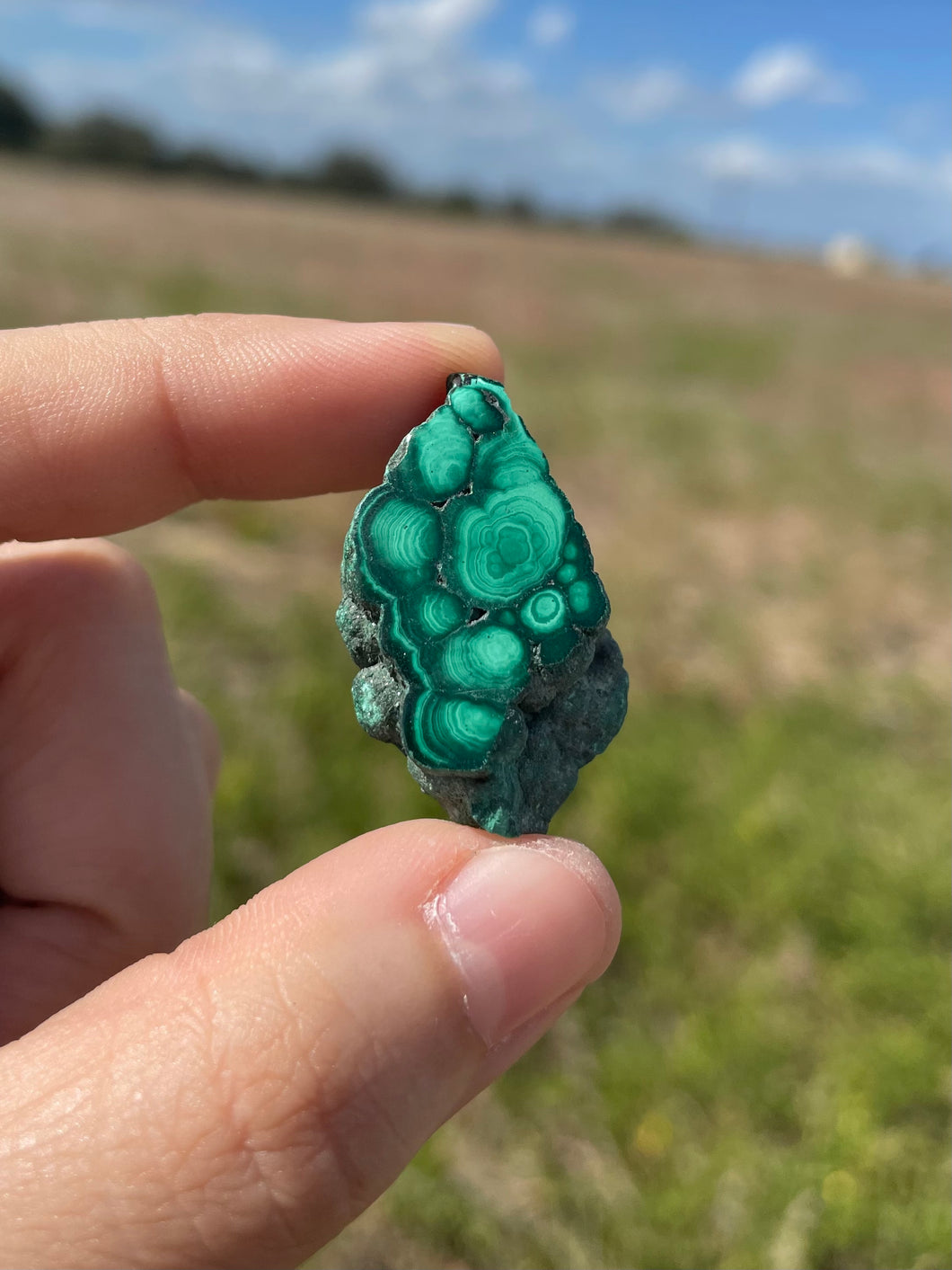 Small Malachite