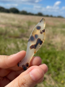 Montana Agate Fish