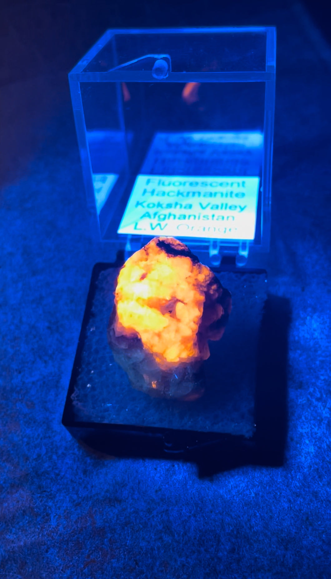 Fluorescent Hackmanite #1