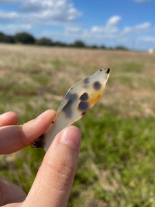 Montana Agate Fish