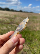 Load image into Gallery viewer, Montana Agate Fish
