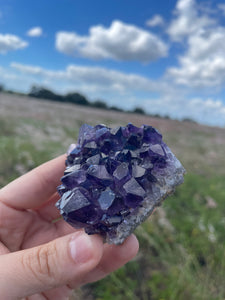 Amethyst Cluster