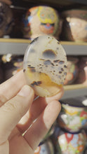 Load and play video in Gallery viewer, Montana Agate
