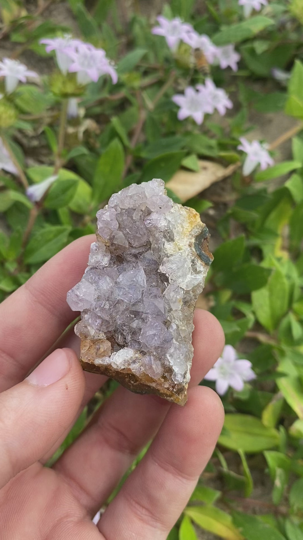 Small Amethyst Cluster #1