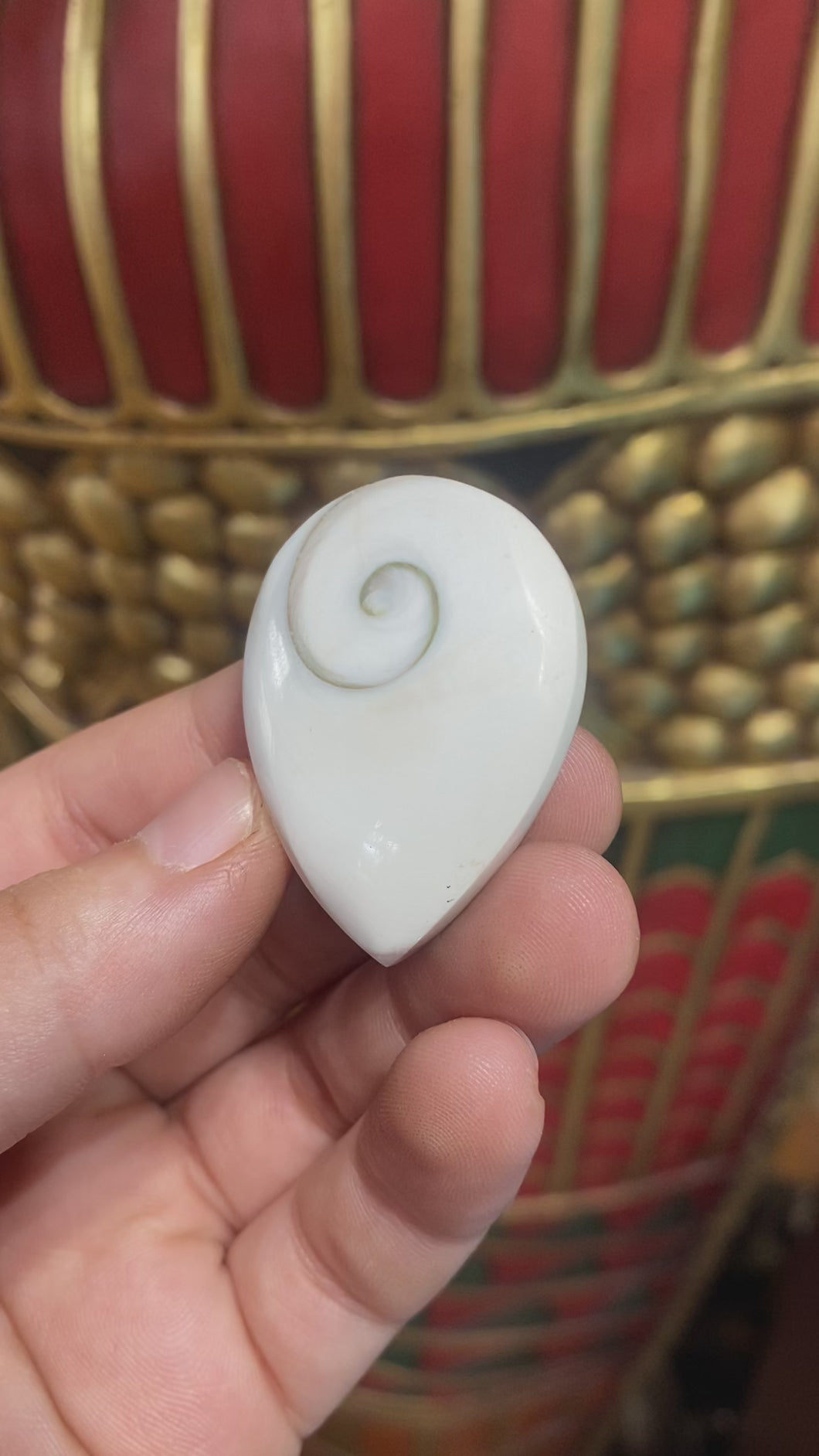 Shiva Eye Shell