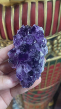 Load and play video in Gallery viewer, Large Amethyst Cluster #2
