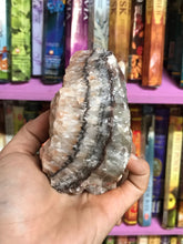Load image into Gallery viewer, Large Rough Palm Size Tri-color Calcite #TC2

