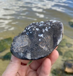 Septarian “Egg” with Calcite Crystals