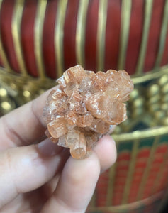 Aragonite Star Cluster #1