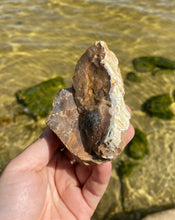 Load image into Gallery viewer, Natural Rough Petrified Wood with Druzy
