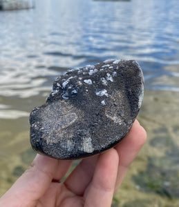 Septarian “Egg” with Calcite Crystals