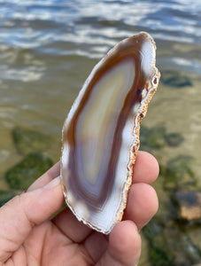 Agate Slice